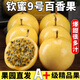 果益壽廣西欽蜜9號黃金百香果 新鮮水果白香果醬原漿整箱 凈重5斤精選裝 優(yōu)選果【單果30g+】
