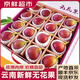優(yōu)味集【順豐JD現(xiàn)貨秒發(fā)】無花果鮮果云南紅皮無花果孕婦水果整箱送禮 1斤精品大果（單果40g+）