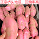 杜多鮮正宗澄邁橋頭地瓜 粉糯香甜海南沙土農(nóng)家種植新鮮板栗番薯山芋 10斤