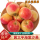 桃西村東北黃太平小沙果【順豐可選】海棠果小蘋(píng)果花紅果酸甜新鮮水果 5斤 精選大果【單果40g+】普快
