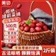 美玏 滄州特產(chǎn)特級(jí)金絲小棗煲湯煮粥蜜棗泡茶水優(yōu)質(zhì)正宗小紅棗500*2袋