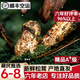 智田喜雅江松茸新鮮高品質未開傘松茸菌菇野冷鏈空運多地次日達生日送禮 未開傘松茸6-8cm 凈重 500g