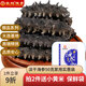 皇純淡干海參 底播刺參干貨 特產(chǎn) 禮品 大連8年御品6-10只簡(jiǎn)裝 50g*1盒