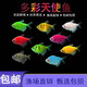 天使熱帶七彩觀(guān)賞魚(yú)褪色小型耐活養易活群游熱帶魚(yú)好養新手 3-4厘米天使魚(yú)下單送魚(yú)食 彩色天使4-7色混搭【11條】/9+2條防損