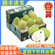 京蚨鮮泰國(guó)牛奶釋迦果當(dāng)季新鮮水果禮盒番荔枝佛頭摩尼果 2斤中果嘗鮮【約4-5個(gè)】