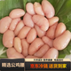 【京東冷鏈】新鮮雞腰子 散養土雞腰子 新鮮雞子公雞蛋雞春雞寶公 精選大雞腰子1斤裝 500g 26-30個(gè)