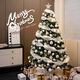 結盟者圣誕樹(shù)ins新款套餐擺件家用裝飾場(chǎng)景布置diy大型發(fā)光圣誕節 1.2米白月光樹(shù)+配飾