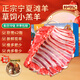 仲亨記寧夏灘羊肉生鮮羊排羊肋排 羔羊肉 可做手抓羊排 燒烤食材羊排 【品質(zhì)提升精修去肥】5斤羊排