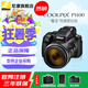 尼康（Nikon）輕便型數(shù)碼相機(jī) 高倍變焦遠(yuǎn)攝 數(shù)碼照相機(jī) COOLPIX P1100 官方標(biāo)配