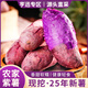 亨迅新鮮紫薯地瓜沙地紫羅蘭湖南番薯香甜軟糯健康輕食根莖類蔬菜 果農(nóng)精選5斤（凈重4.5斤）