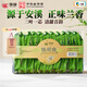 中茶海堤茶葉禮盒鐵觀音清香型小包裝 閩南烏龍茶 【居家自飲】透明盒250g*1盒