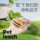 倉鼠牽引繩背帶式花枝鼠繩子松鼠龍貓引繩遛鼠鼠鏈子刺猬外出繩 粉色小兔牽引繩