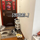 木格格兒童鞋架學(xué)生鞋托架懸掛可伸縮分層擱板家用省空間兒童鞋柜收納架 奶白色【伸縮27-45CM】