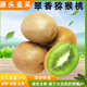 閩農(nóng)語果陜西周至翠香獼猴桃酸甜可口水果生鮮國產(chǎn)水果綠心獼猴桃 15枚裝（單果40g+） 產(chǎn)地直發(fā)