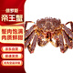 晶彩甜園 鮮活速凍帝王蟹俄羅斯大螃蟹 生鮮海鮮聚餐送禮 源頭直發(fā) 4-4.4斤（只）