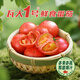 京鮮生&瓦大1號西紅柿孕婦寶寶健康綠色自然熟 凈3斤單果60+g 源頭直發(fā)