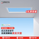 菁雅全光譜青空燈自然光藍(lán)天集成吊頂衛(wèi)生間嵌入式智能晴空燈 嵌入式-300*600*115-智能