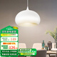 松下（Panasonic） 餐吊燈LED燈具浪漫現(xiàn)代簡(jiǎn)約時(shí)尚大氣吊燈餐廳照明燈具餐廳吊燈 單頭餐吊燈-HHLN1005