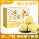 春福樂 皇冠梨【源頭直發(fā)】河北冰糖雪梨雪花梨黃冠梨當(dāng)季新鮮水果禮盒 【甄選裝】?jī)糁?.5-9斤單果150g+