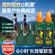 森林地帶（FOREST ZONE）驅(qū)蚊液戶(hù)外驅(qū)蚊噴霧10%避蚊胺驅(qū)蚊水神器防蚊花露水驅(qū)蚊250ml組合