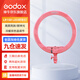神牛（Godox）環(huán)形補(bǔ)光燈美妝柔光燈LED戶(hù)外網(wǎng)紅主播手機(jī)直播美顏燈化妝燈 LR150粉【需另購(gòu)燈架】 官方標(biāo)配