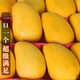 集年鮮海南小臺農(nóng)芒果 整箱熱帶甜心應(yīng)季時(shí)令新鮮現(xiàn)摘生鮮水果 凈重4.5斤優(yōu)選（單果70-100克）