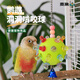 NES小太陽(yáng)鸚鵡玩具解悶自嗨啃咬球專(zhuān)用小鳥(niǎo)玩具虎皮牡丹玄鳳籠內裝飾 小鳥(niǎo)啃咬球【綠色款】