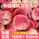 驕瑰新疆蟠桃水果【空運(yùn)多地次日達(dá)】新鮮石河子143團(tuán)和靜桃子蟠桃 爆甜蟠桃—精選裝中果-新疆空運(yùn) 3斤 家庭裝