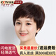 佰絲堂假發(fā)女短發(fā)自然全頭套中老年女士媽媽真人發(fā)絲手織真發(fā)紋理發(fā)透氣 深棕色 【輕薄網(wǎng)遞針旋】 短發(fā) 均碼