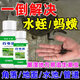 水蛭螞蟥專(zhuān)用藥清泥鰍黑魚(yú)除蟲(chóng)劑魚(yú)塘滅螞蟥龜鱉水產(chǎn)養殖水蛭速凈 螞蟥克星【單瓶】