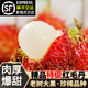 壹萌果蔬海南紅毛丹保亭【多地次日達】毛丹果水果新鮮毛荔枝5斤7號禮盒裝 5斤 A+級丨優(yōu)選果 凈4.5斤
