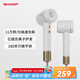 夏普【夏普小浪花】家用高速吹風(fēng)機(jī) 大功率速干電吹風(fēng)低噪音吹風(fēng)筒等離子護(hù)發(fā)IB-RP45C-C