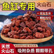 悠梵萌精品火山石魚缸鋪底水族造景養(yǎng)魚過濾石綠植營養(yǎng)土天然鋪面石5斤