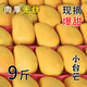 廣西小臺農(nóng)芒新鮮小臺芒當(dāng)季水果特產(chǎn)現(xiàn)摘大果肉厚無絲甜心芒果 3斤 【小果】單果40~65g