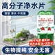 魚(yú)缸凈水片硝化細菌水質(zhì)凈化劑長(cháng)效凈水劑清潔神器水族消毒殺菌 1瓶【凈化水質(zhì) 打造空氣缸】