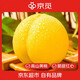 京覓 湖南炎陵黃桃 3斤凈重 桃子單果150g+ 高山黃桃新鮮水果源頭直發(fā)
