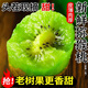 壹萌果蔬正宗綠心獼猴桃奇異果新鮮當季水果湘西米糧一號送禮整箱發(fā)出 5斤精選果【單果50-70g】凈4.5斤