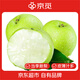 京覓河北皇冠青梨凈重4.5斤單果250g+新鮮水果源頭直發(fā)