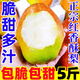 紅香酥梨新鮮水果9斤當(dāng)季梨子薄皮香梨青酥梨脆蜜雪梨整箱包郵 3斤