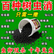 艾尚棵天牛克星果子地上地下殺食心蟲除鉆心蟲幼蟲樹洞蟲防蛀蟲顆粒肥料 2桶【百種樹蟲清】