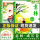【2025新版】意林成長卷全新升級版2冊  何以為青春奔走在自己的熱愛里中學(xué)生校園勵志讀本初一二中考作文素材高中課外閱讀書籍意林20周年紀(jì)念書 【全2冊意林成長卷】奔走在自己的熱愛里+何以為青春