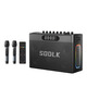 聲萊客（SODLK）S1127PLUS柏林之聲大功率300W戶外K歌家庭聚會露營直播內(nèi)錄監(jiān)聽音響薩克斯電吹管伴奏便攜式音箱 S1127PLUS音箱+雙話筒+遙控器 官方標配