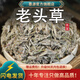 墨源 老頭草中藥材500克火絨草薄雪草老頭艾非野生新鮮曬干貨泡水喝茶 老頭草500克【新貨】