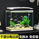 長銳魚缸一體缸自循環(huán)免換水家用客廳桌面小型金魚缸超白玻璃養(yǎng)魚缸 超白CRV380標準款+水蘭青竹景（真水草）
