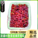 新疆玻璃翠葡萄4斤當季現摘吐魯番無(wú)核紅提新鮮水果甜無(wú)籽玻璃脆 玻璃翠葡萄4斤精品果 新疆玻璃翠（順豐/京東發(fā)貨）