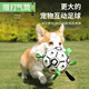 鋒上狗狗玩具寵物戶外足球邊牧中大型犬柯基互動耐咬解悶訓(xùn)練巡回球