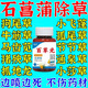 石菖蒲除草專用i劑除草爛根雜草神器一掃光三年不長安全不傷苗 一瓶裝【能打30斤水】
