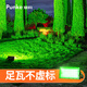 朋科led泛光燈彩色照樹燈景觀射燈戶外防水投光燈室外園林綠化燈 50W暖光「活動5折 限購一個」
