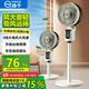 揚子電風扇空氣循環(huán)扇落地家用臥室客廳宿舍臺式桌面電扇 遙控款加高-自動左右搖頭