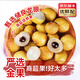 優(yōu)味集【JD順豐】龍眼新鮮桂圓水果廣東儲良老樹果時令應(yīng)當(dāng)季孕婦鮮果 4.8斤凈重裝（家庭暢享）-順豐